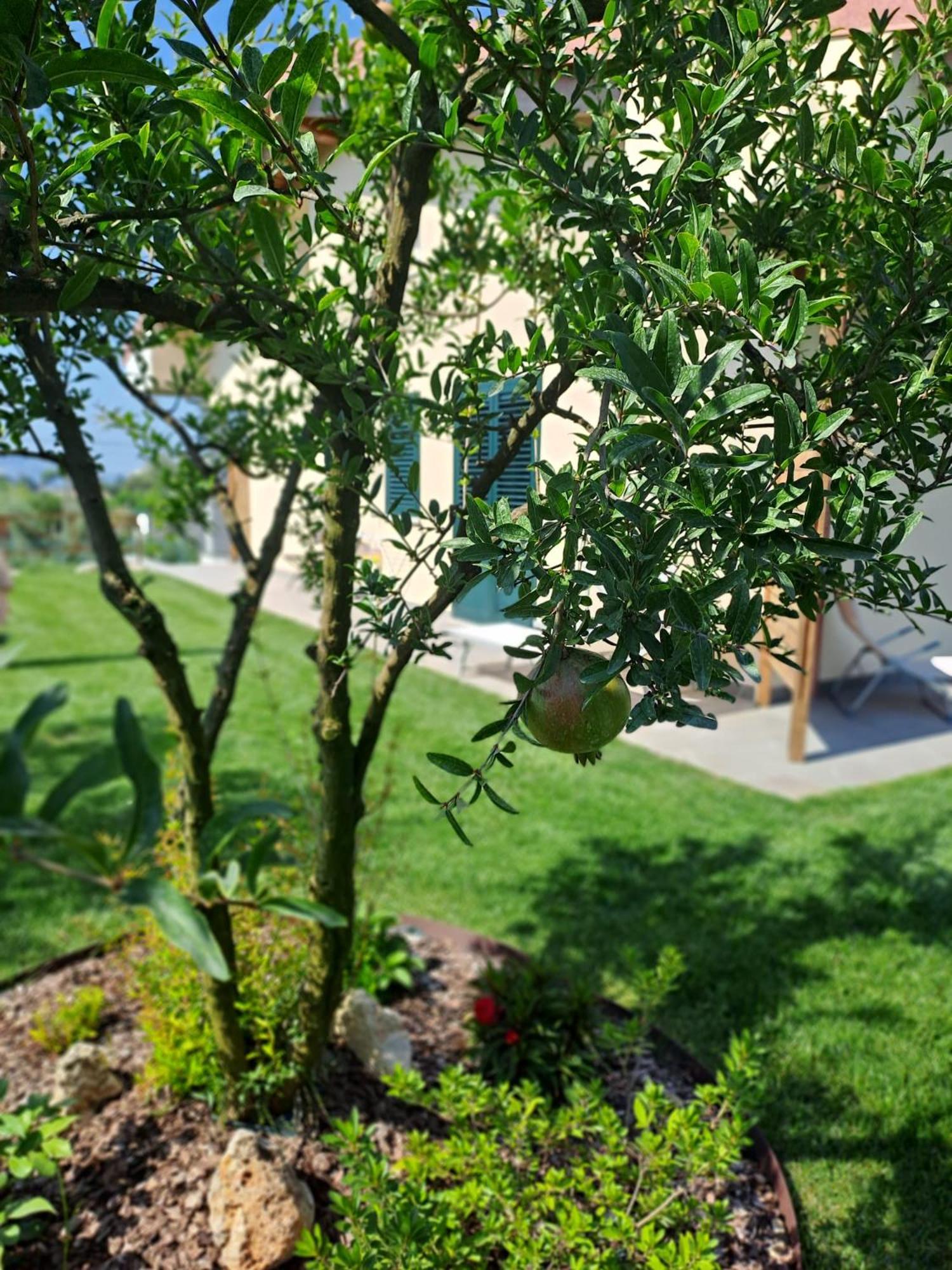 La Campagna Di Peppe E Tullia Bed and Breakfast Formia Eksteriør billede