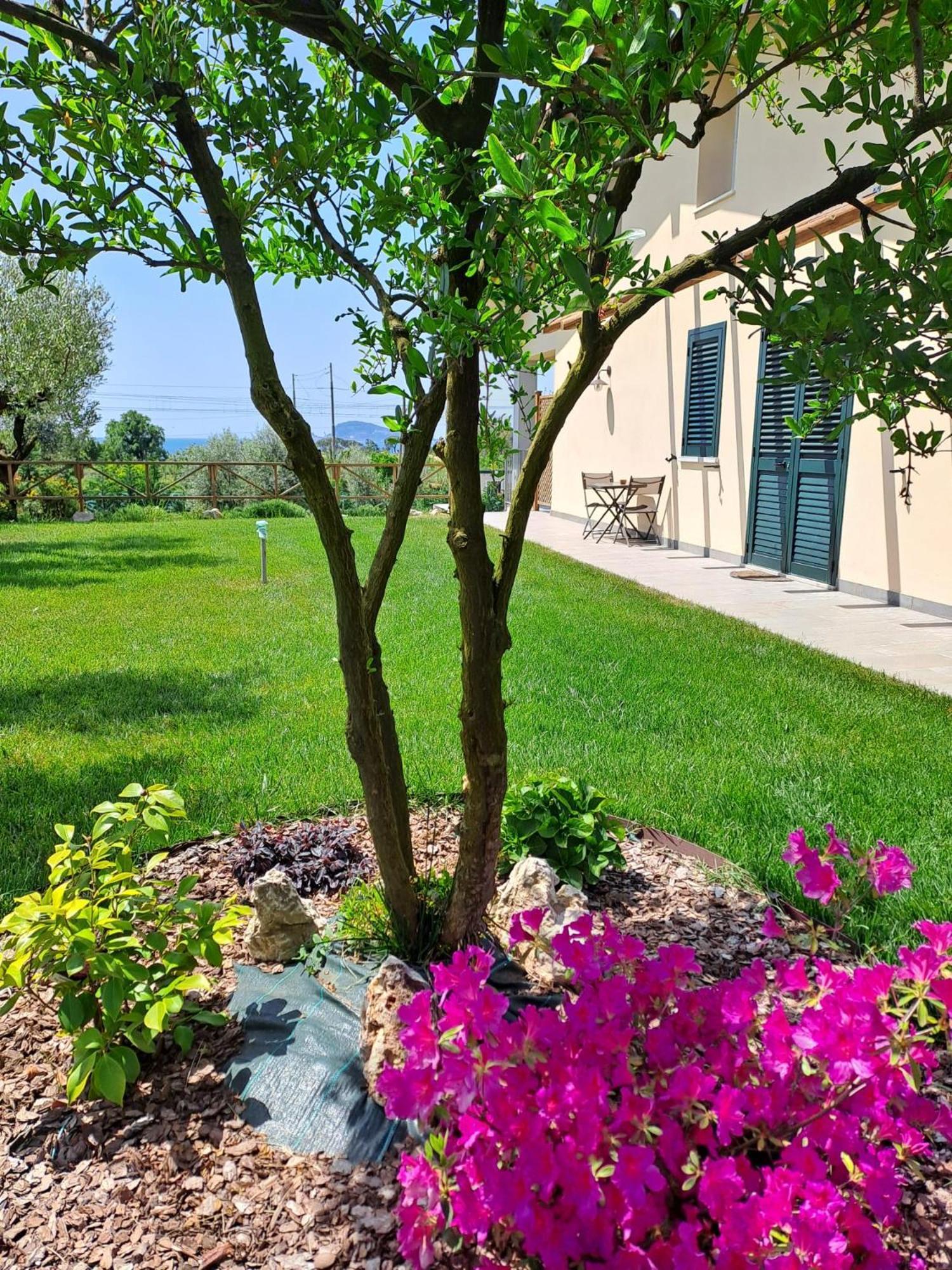 La Campagna Di Peppe E Tullia Bed and Breakfast Formia Eksteriør billede